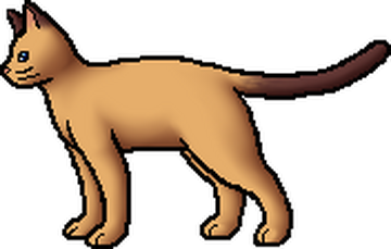 Firestar Warriors Wiki 