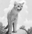 Bluestar in the chapter headers for The Prophecies Begin