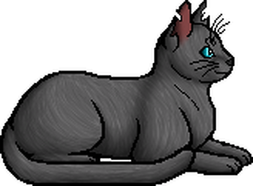 Why does Frostpaw have a leader version??? (Wiki) : r/WarriorCats