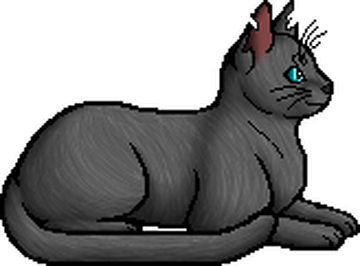 warrior cat designs — Boulder Elder of ShadowClan “That's right