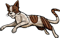 Leafstar, Warriors Wiki