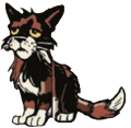 Sol in SkyClan and the Stranger