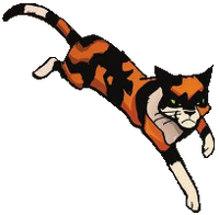 Tawnypelt.ASIR