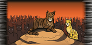 TigerClan in A Shadow in RiverClan