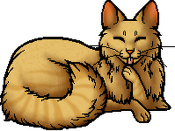 Lionblaze, Warriors Wiki, FANDOM powered by Wikia