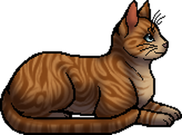 Flamepaw (TC), Warriors Wiki, Fandom