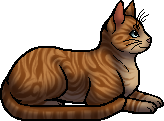 Thornclaw | Warriors Wiki | Fandom