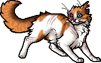 Beautiful Now, whitewing, cloudtail, brightheart, ashfur, warrior