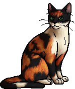 PPT - WARRIOR CATS PowerPoint Presentation, free download - ID:2073048