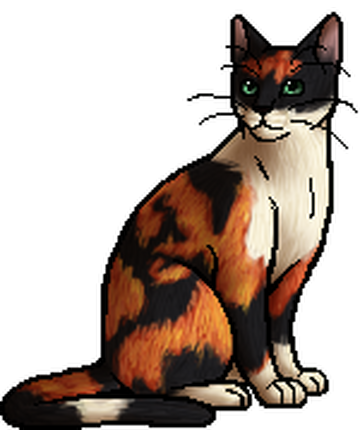 Squirrelflight, Warriors Wiki, FANDOM powered by Wikia