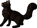 Tigerstar (AVoS).deputy.png (21 KB) Deputy Version