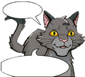 Cinderfur.EFS.png (639 KB) Cinderfur in Exile from ShadowClan