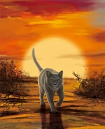 Traditional Chinese Language Edition Textless Cover