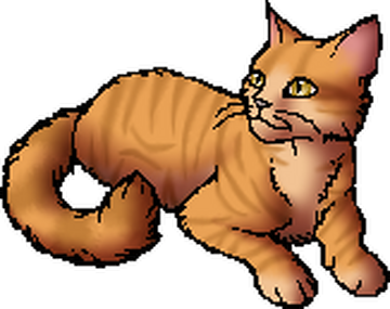 Warrior Cats - Yo! The warriors wiki is savage today!