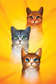 Echosong in Cats of the Clans