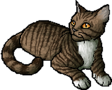 Leafpool | Warriors Wiki | Fandom