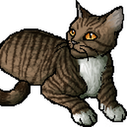 Warrior Cats^~, Wiki