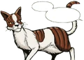 Leafstar.SS.png (137 KB) Leafstar in SkyClan and the Stranger