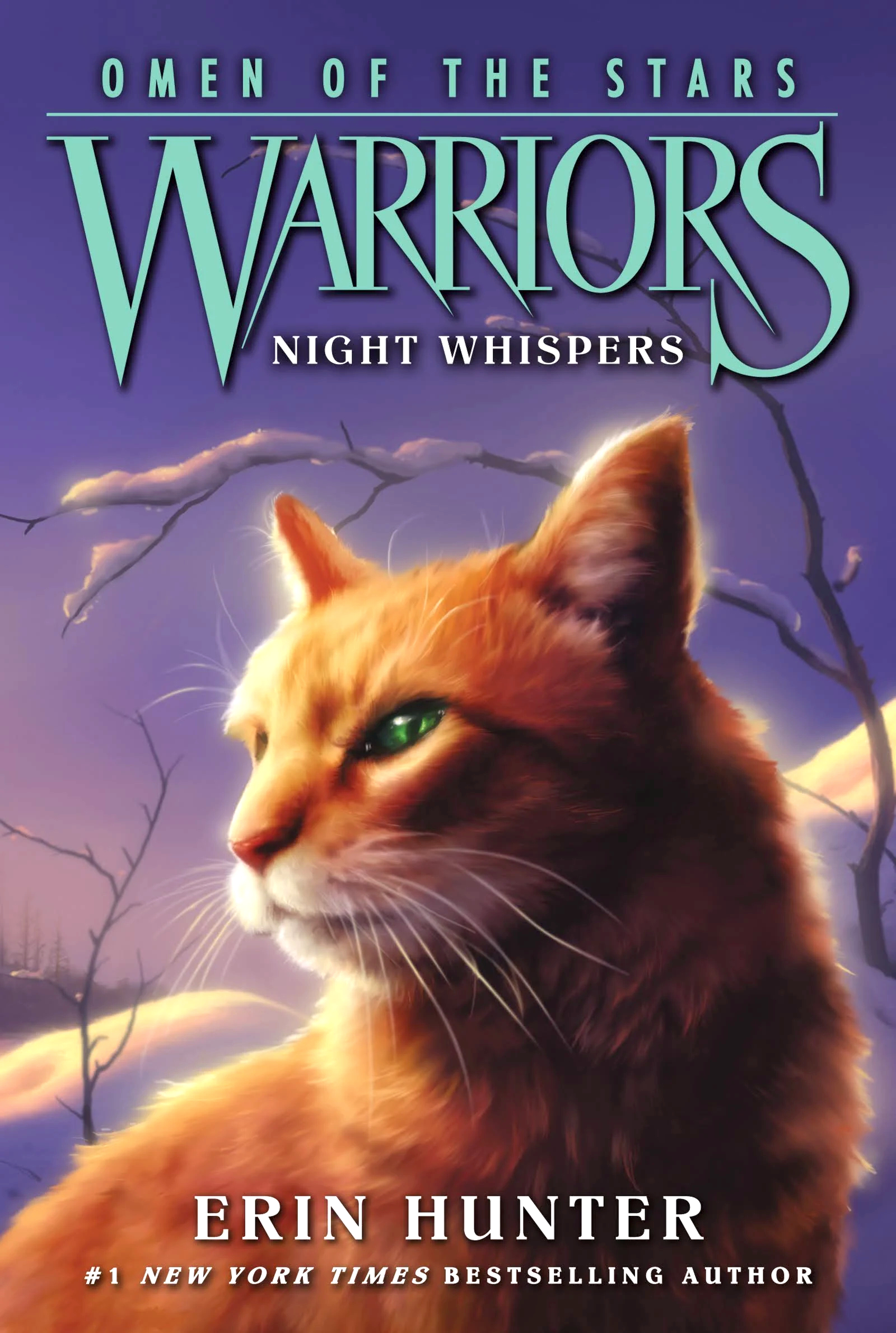 Darkest Night, Warriors Wiki