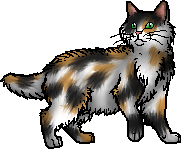 Category:Tortoiseshell Cats, Warriors theory Wiki