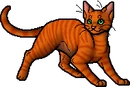 Firestar.apprentice.png (20 KB) Apprentice Version