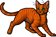 Warrior Cats - Firestar by Fox-Desert ~ Spottedstar