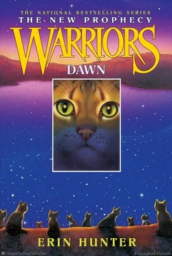 SkyClan's Destiny (Warriors Super Edition Series #3) by Erin Hunter, Wayne  McLoughlin, Paperback