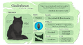 Cinderheart's Warriors website fact sheet for Omen of the Stars