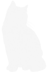 Splashtail killed his deputy Harelight to coerce RiverClan into obeying his every word