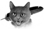 Crowfeather.FG-1.png