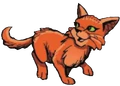 Firefern in SkyClan and the Stranger