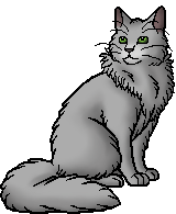 21421 - safe, artist:biohazardia, bluestar (warrior cats), firestar (warrior  cats), lionheart (warrior cats), cat, feline, mammal, feral, warrior cats,  beanbrows, blue eyes, blue fur, cheek fluff, chest fluff, collar, ear  fluff, female