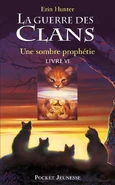 Alternate French Language Edition Released in France