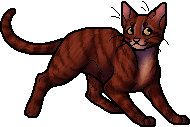 Oakheart [Warrior - Cats] by ~Akatsu -- Fur Affinity [dot] net