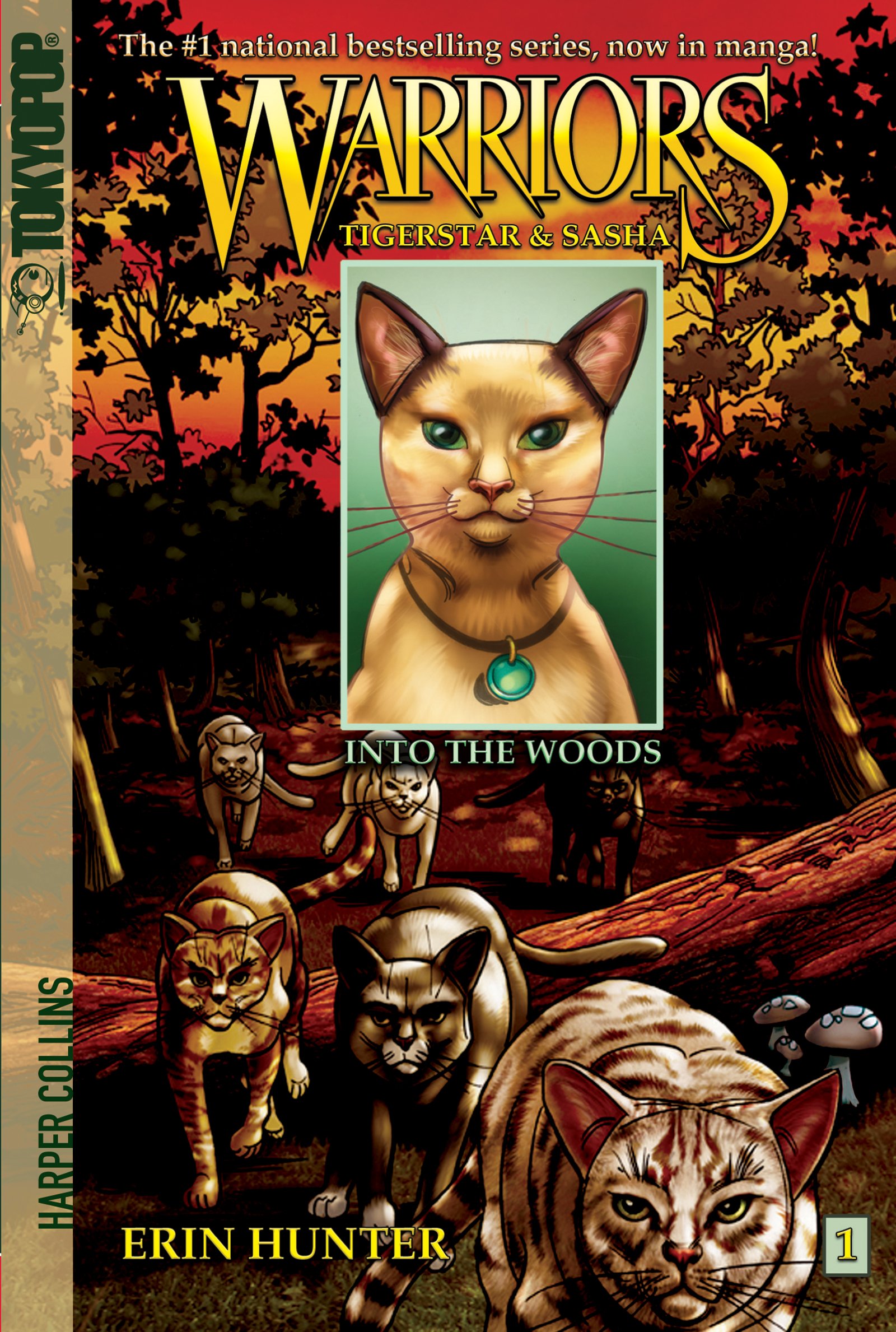 Tigerstar (TPB), Warriors Wiki, Fandom