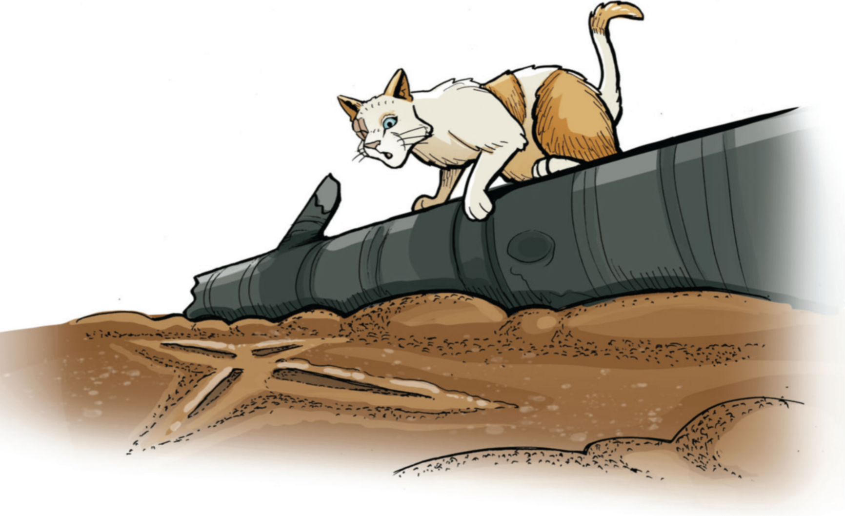 The Warrior Cats ShowThunderClan(Part 2) – WarriorCatsFanBlog