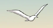 A gull is one of the signs in Stripestar's dreams of dangers to come