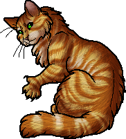 Sleekwhisker, Warriors Wiki