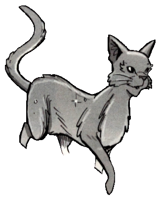 warrior cats willowkit