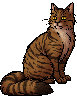 Happy April Fools Day!, in Warriors Wiki. : r/WarriorCats