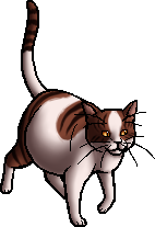 Leafstar, Warriors Wiki