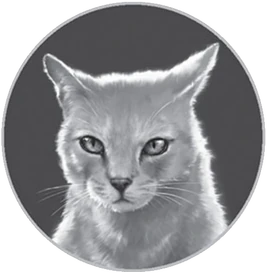 Moth Flight&#39;s Vision/Chapter 2