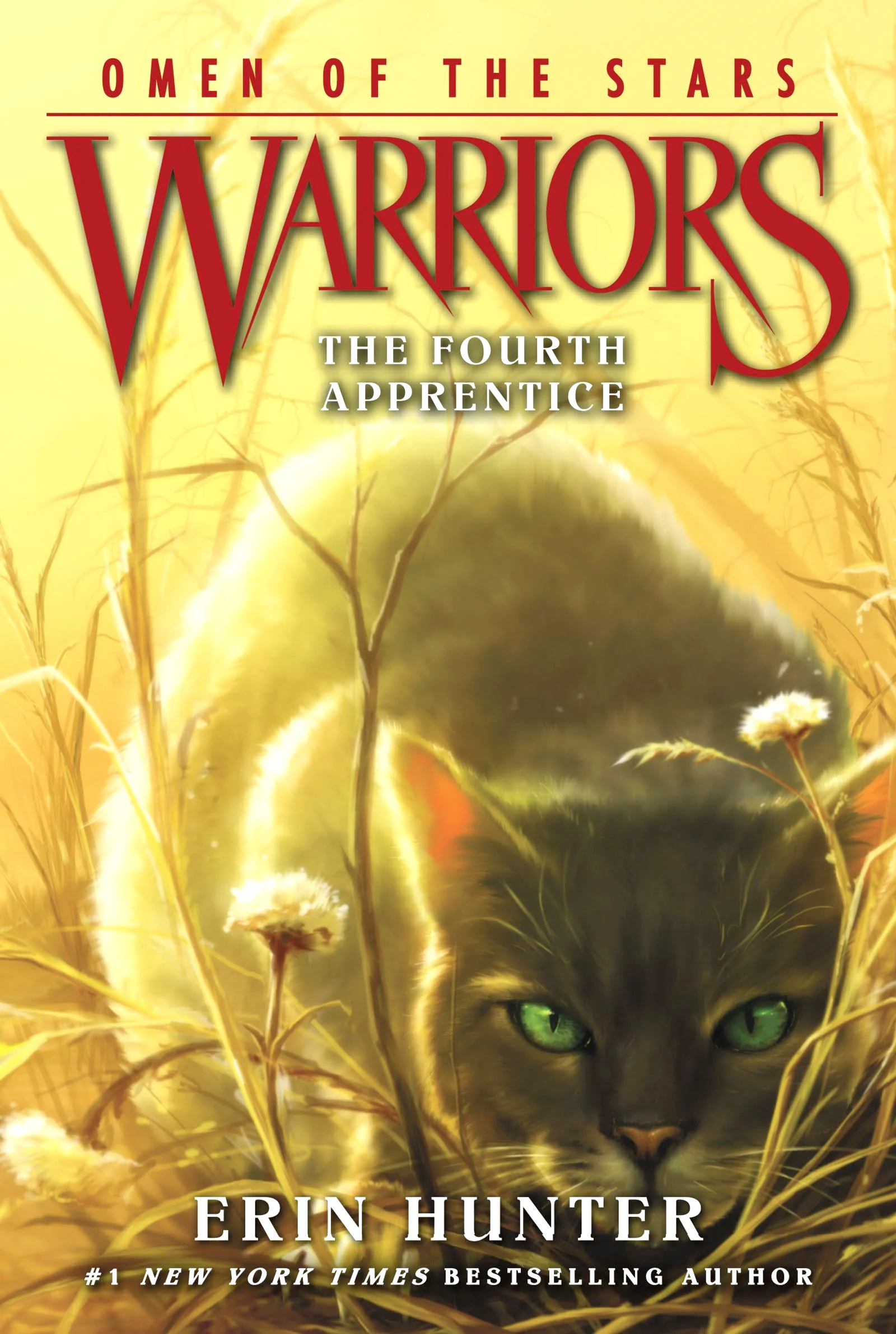 Warriors: A Thief in ThunderClan (Warriors Graphic Novel #4