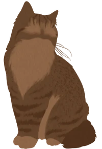 Splashtail.silhouette