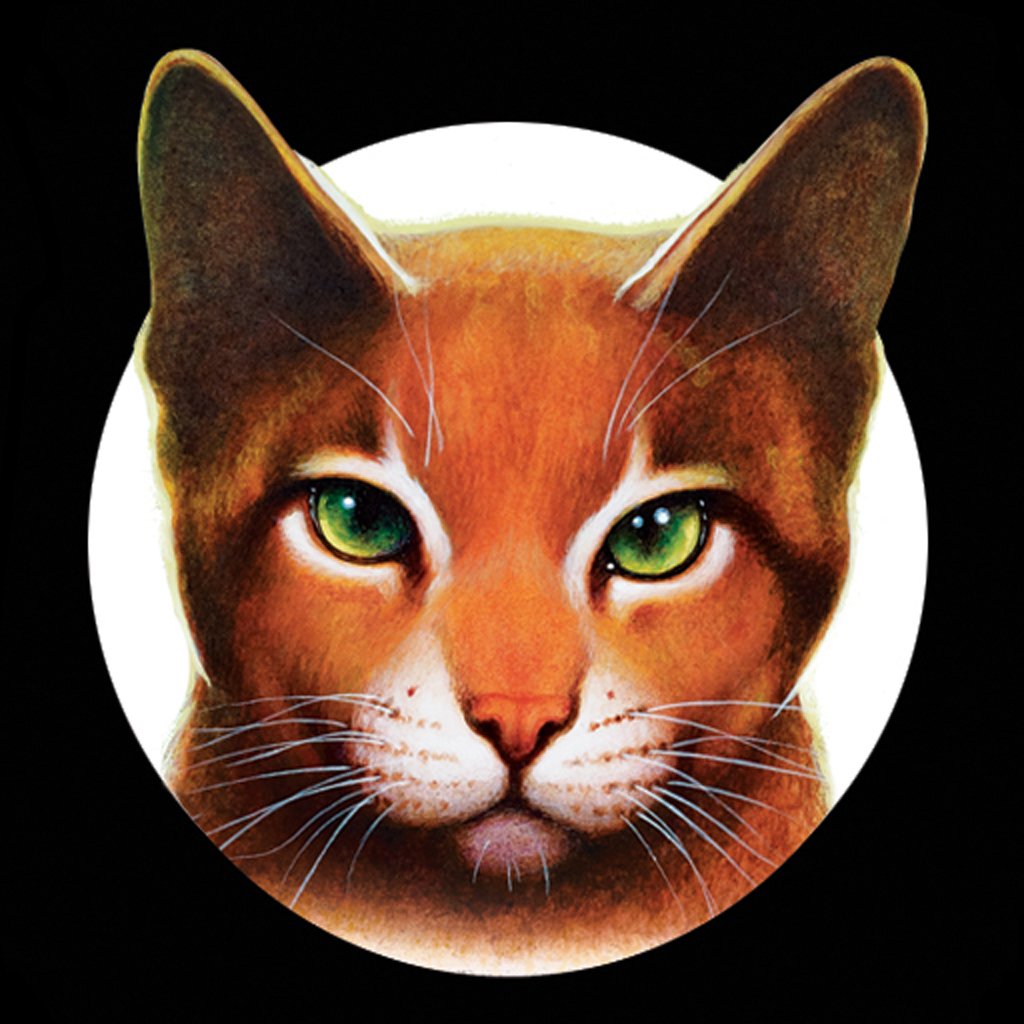 capital-ibex737: brown and white cat, green eyes, hunting, warrior cats logo