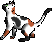Coralflame.personal.png