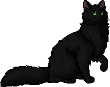 Dark Whiskers Warriors Wiki Fandom