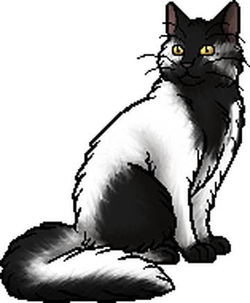 Kitescratch, Warriors Wiki