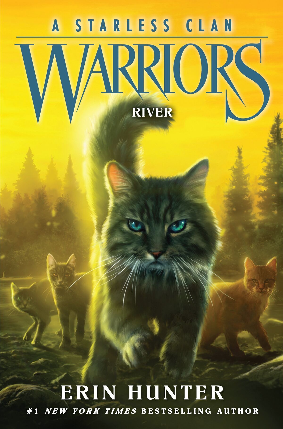 Warrior Cats Volume 1 to 12 Books Collection Set (The Complete First Series  (Warriors: The Prophecies Begin Volume 1 to 6) & The Complete Second