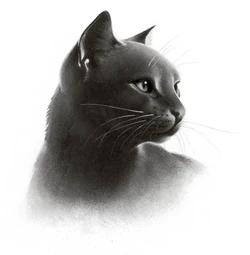 The sudden death of Mistystar and Reedwhisker's mysterious murder resulted in turmoil for RiverClan for moons